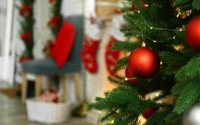 Dominic Nguyen 2024 Recap & Being Thankful For You